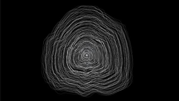 Illustration of concentric circles that look like a cross section of a tree, or a fingerprint.